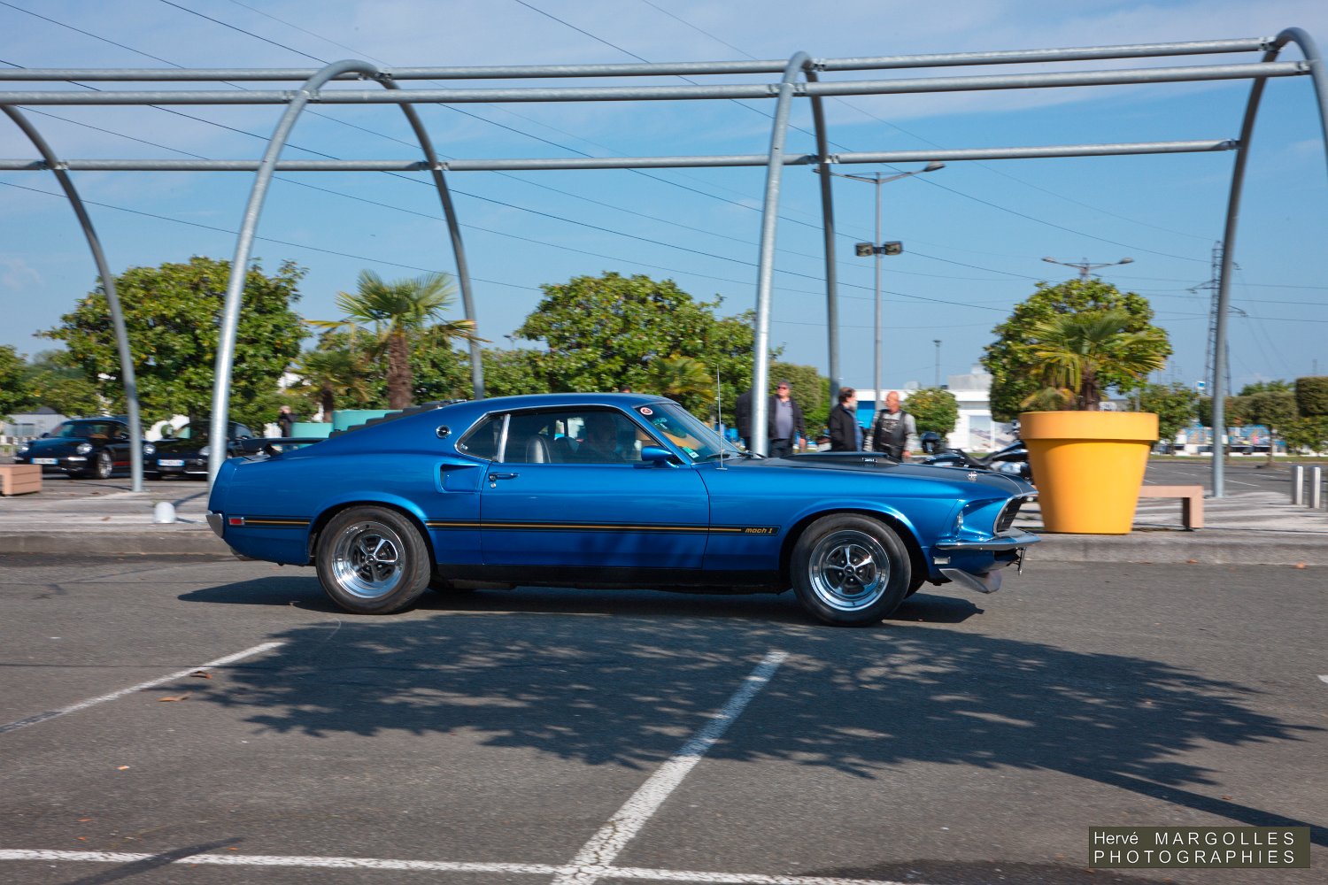Ford Mustang-02.jpg